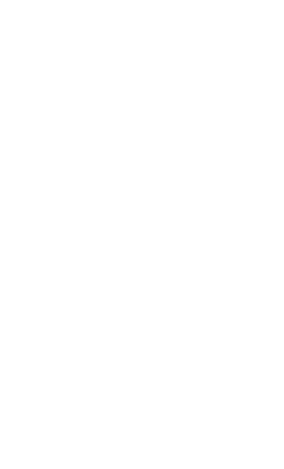SPIDYNEX