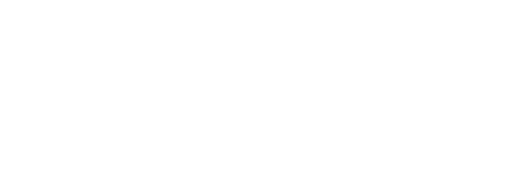 SPIDYNEX — Talent. Connected.
